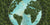 HYgreen Answers These Environmental Topics with GOMOW.