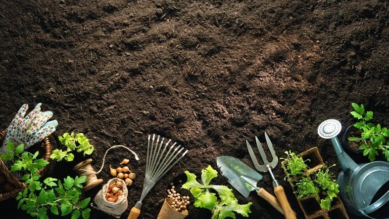 Effective Gardening Tools for Lawn Care