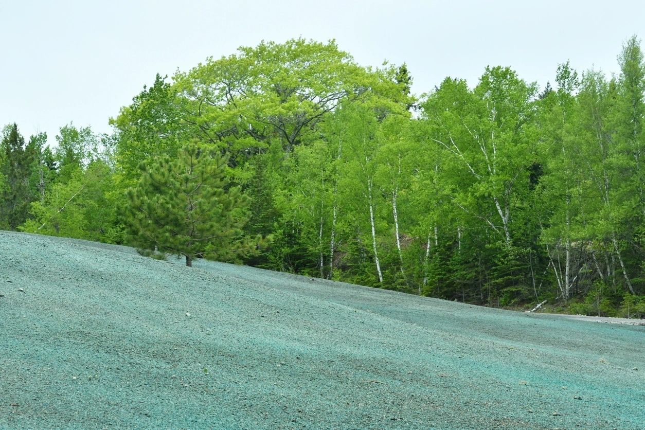“10 Advantages of Hydroseeding’’—for Lush Greenery