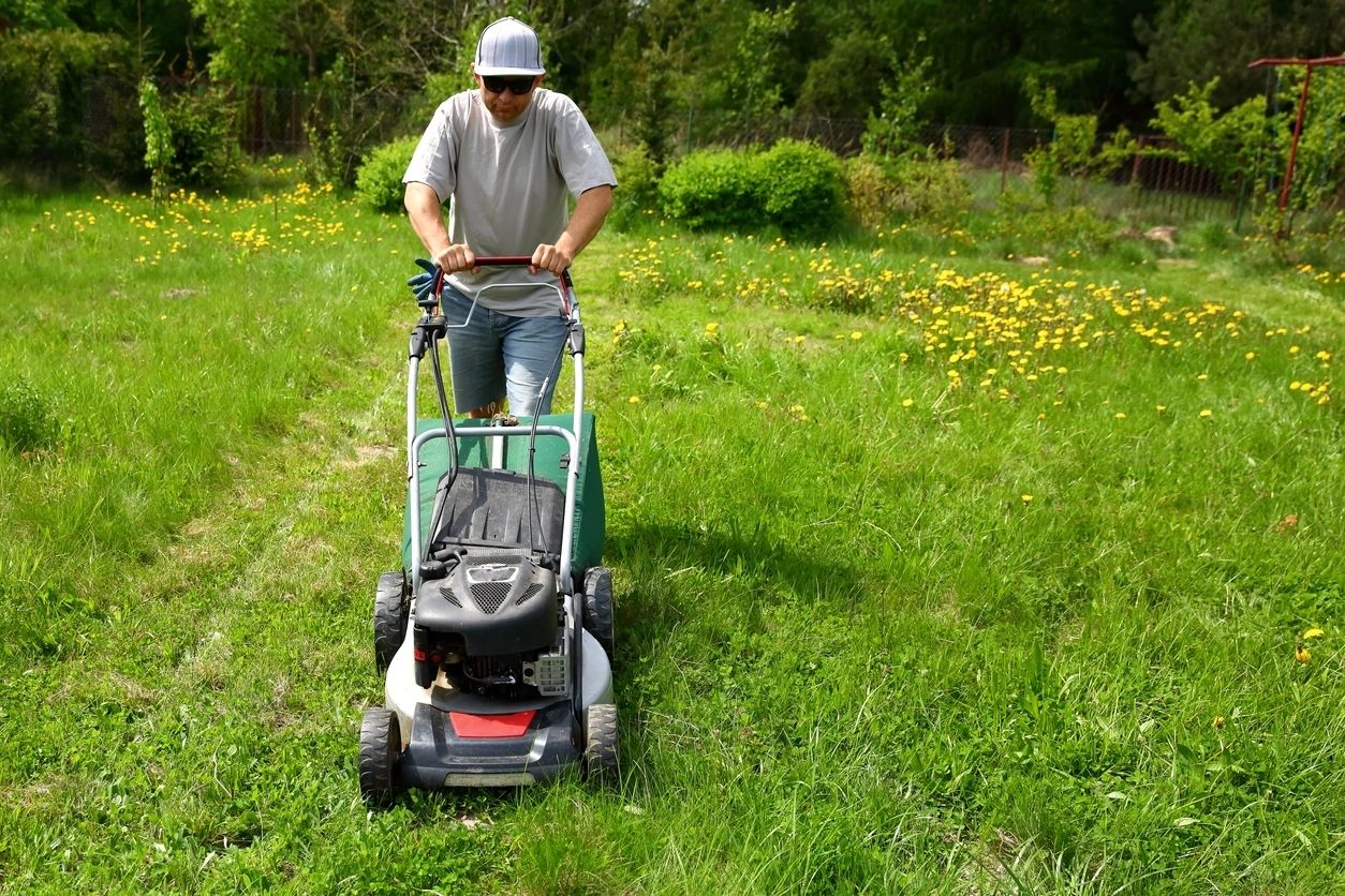 Lawn Care During Spring Season