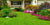 Why is Green Lawn Important?