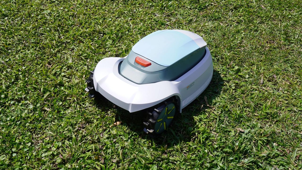 ''Bermuda Grass Care''— All Tips and Techniques